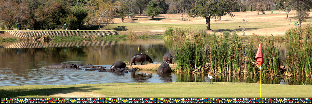 del-afrika-golf-program-golfozas-kruger-vadrezervatum (1) Dél-Afrika golf program, golfozás, Kruger Vadrezervátum